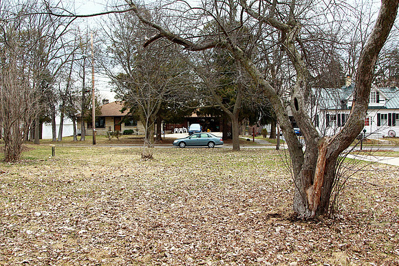 lot 8597