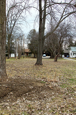 lot 8598