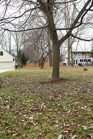 lot 8594